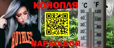 сатива Малоярославец