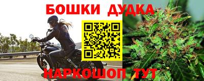 спайс Малгобек