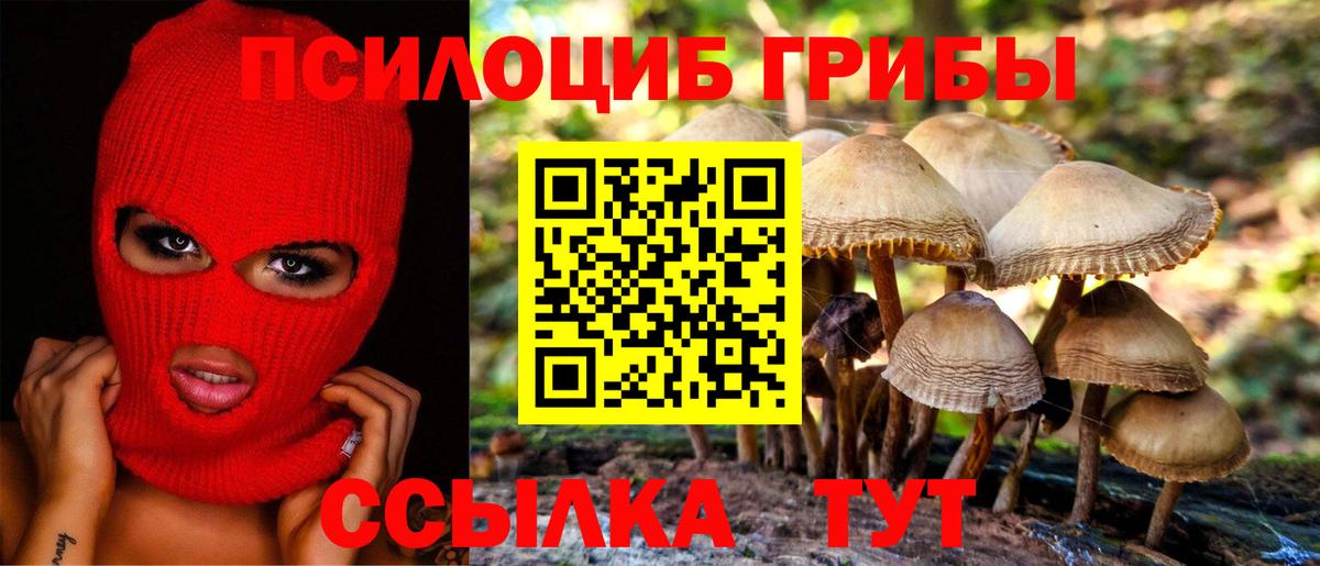 Галлюциногенные грибы Magic Shrooms Димитровград